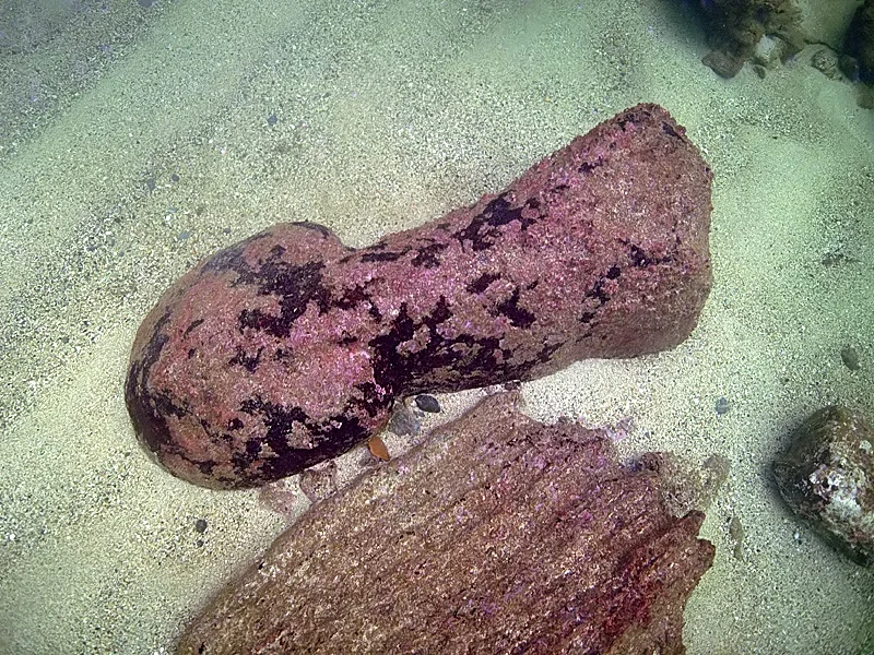 Context: underwater archaeology at Alexandria’s lighthouse site; not the newly identified boat.